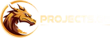 PROJECTS.GG